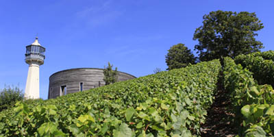 Overview Tour | Champagne Wine Tour